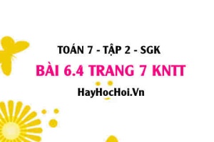 Bài 6.4 trang 7 Toán 7 Tập 2 Kết nối tri thức